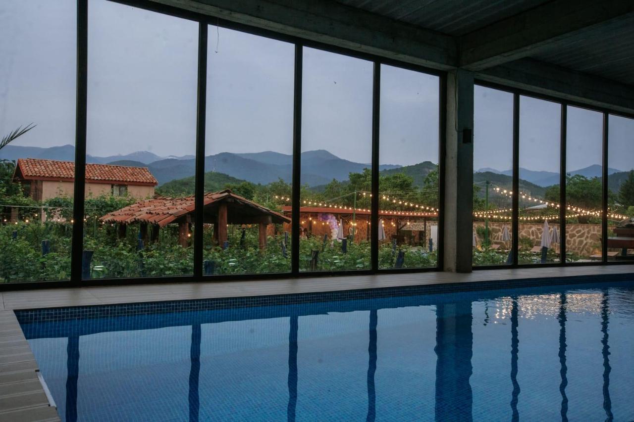 Vineyard Hotel & Winery Napareuli Kültér fotó